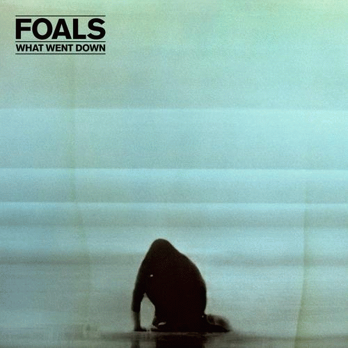 Foals : What Went Down
